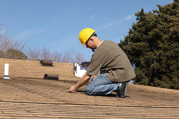 Professional Roofing servicies in Bellview, FL